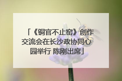 《铜官不止窑》创作交流会在长沙政协同心园举行 陈刚出席