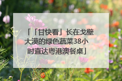 「甘快看」长在戈壁大漠的绿色蔬菜38小时直达粤港澳餐桌