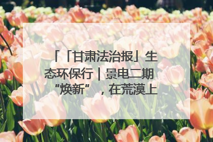 「甘肃法治报」生态环保行｜景电二期“焕新”，在荒漠上筑起一道绿色长城