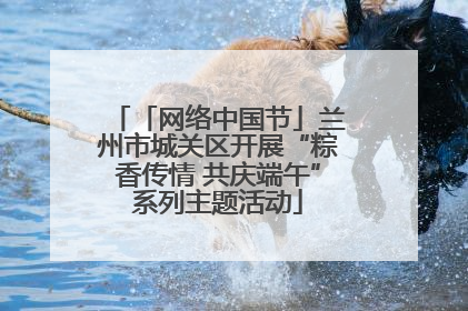 「网络中国节」兰州市城关区开展“粽香传情 共庆端午”系列主题活动