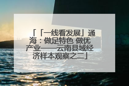 「一线看发展」通海：做足特色 做优产业——云南县域经济样本观察之二