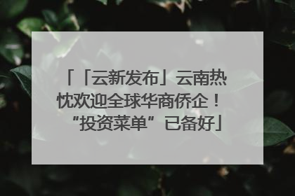 「云新发布」云南热忱欢迎全球华商侨企！“投资菜单”已备好