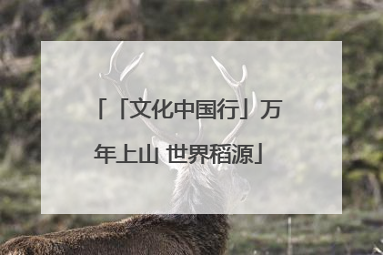 「文化中国行」万年上山 世界稻源