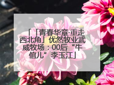 「青春华章·重走西北角」优然牧业武威牧场：00后“牛倌儿”李玉江