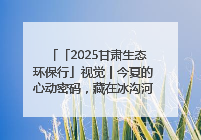 「2025甘肃生态环保行」视觉｜今夏的心动密码，藏在冰沟河的潋滟波光里