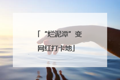 “烂泥潭”变网红打卡地