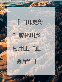 “田埂会”孵化出乡村用工“正规军”