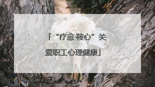 “疗愈·鞍心”关爱职工心理健康