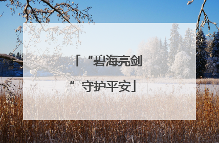 “碧海亮剑”守护平安