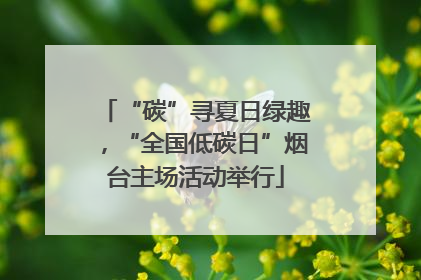 “碳”寻夏日绿趣，“全国低碳日”烟台主场活动举行