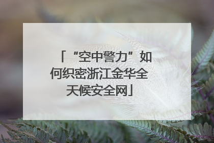 “空中警力”如何织密浙江金华全天候安全网