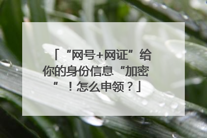 “网号+网证”给你的身份信息“加密”！怎么申领？