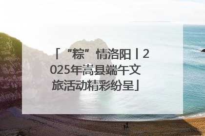 “粽”情洛阳丨2025年嵩县端午文旅活动精彩纷呈