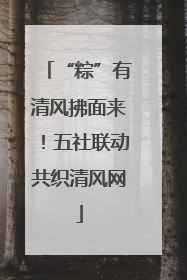 “粽”有清风拂面来！五社联动共织清风网