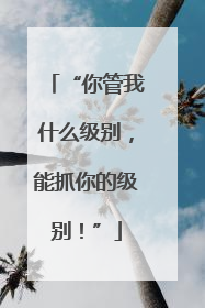 “你管我什么级别，能抓你的级别！”