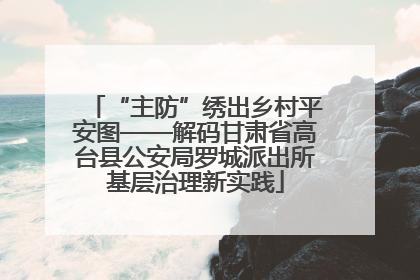 “主防”绣出乡村平安图——解码甘肃省高台县公安局罗城派出所基层治理新实践