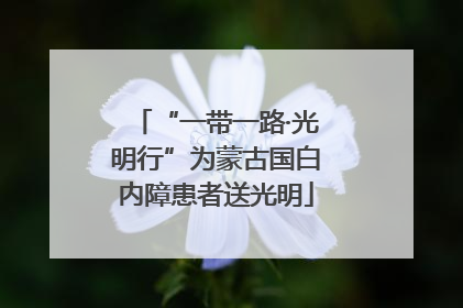 “一带一路·光明行”为蒙古国白内障患者送光明