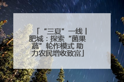 “三夏”一线丨肥城：探索“菌果蔬”轮作模式 助力农民增收致富
