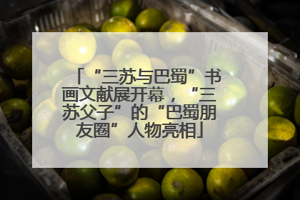 “三苏与巴蜀”书画文献展开幕，“三苏父子”的“巴蜀朋友圈”人物亮相