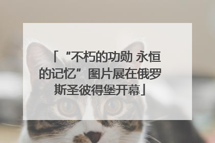 “不朽的功勋 永恒的记忆”图片展在俄罗斯圣彼得堡开幕