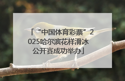 “中国体育彩票”2025哈尔滨花样滑冰公开赛成功举办