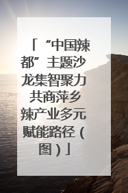 “中国辣都”主题沙龙集智聚力 共商萍乡辣产业多元赋能路径（图）