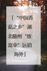 “中国香菇之乡”湖北随州“致富伞”远销海外