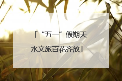 “五一”假期天水文旅百花齐放