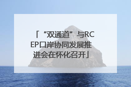 “双通道”与RCEP口岸协同发展推进会在怀化召开