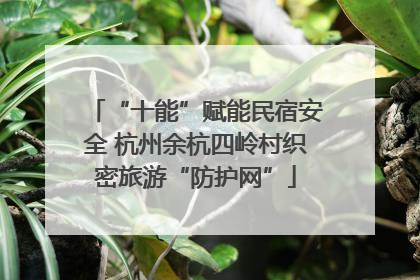 “十能”赋能民宿安全 杭州余杭四岭村织密旅游“防护网”