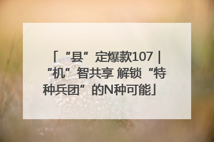 “县”定爆款107｜“机”智共享 解锁“特种兵团”的N种可能