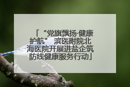 “党旗飘扬·健康护航” 滨医附院北海医院开展进盐企筑防线健康服务行动