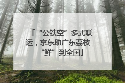 “公铁空”多式联运，京东助广东荔枝“鲜”到全国