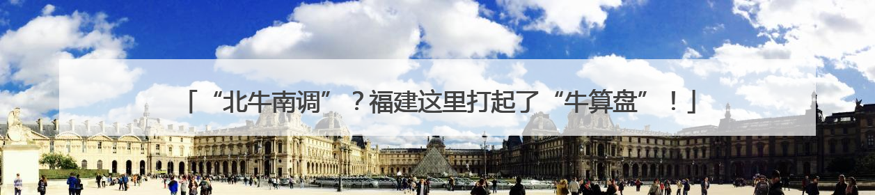 “北牛南调”？福建这里打起了“牛算盘”！