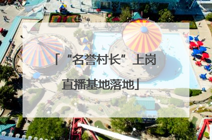 “名誉村长”上岗 直播基地落地