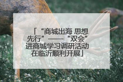 “商城出海 思想先行”——“双会”进商城学习调研活动在临沂顺利开展