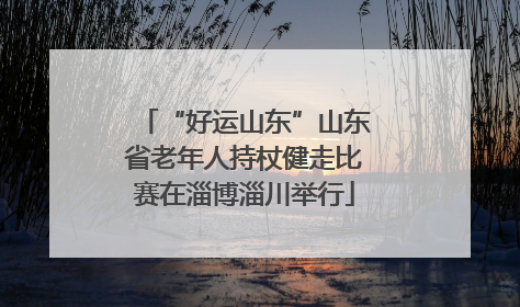 “好运山东”山东省老年人持杖健走比赛在淄博淄川举行