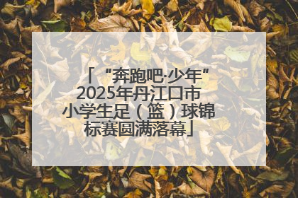 “奔跑吧·少年”2025年丹江口市小学生足（篮）球锦标赛圆满落幕