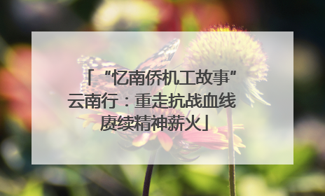 “忆南侨机工故事”云南行：重走抗战血线 赓续精神薪火