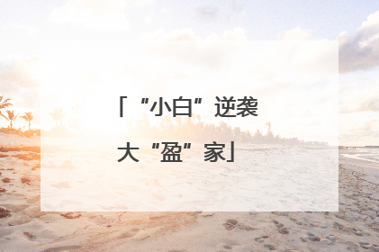 “小白”逆袭大“盈”家