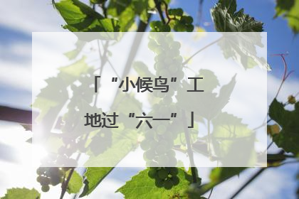 “小候鸟”工地过“六一”