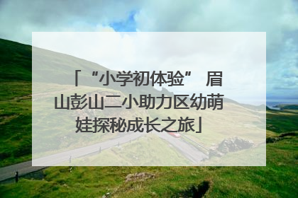 “小学初体验” 眉山彭山二小助力区幼萌娃探秘成长之旅
