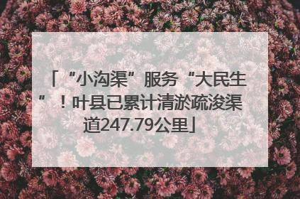 “小沟渠”服务“大民生”！叶县已累计清淤疏浚渠道247.79公里