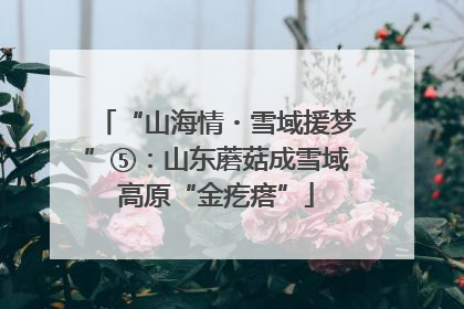 “山海情・雪域援梦”⑤：山东蘑菇成雪域高原“金疙瘩”