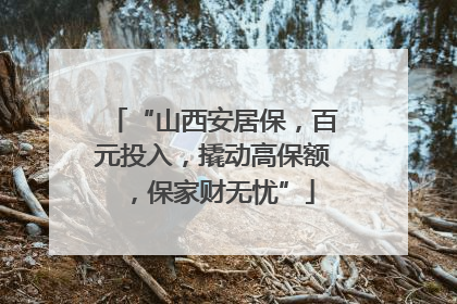 “山西安居保，百元投入，撬动高保额，保家财无忧”