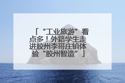 “工业旅游”看点多！外籍学生走进胶州李哥庄镇体验“胶州智造”