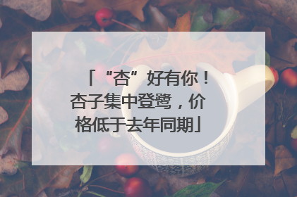 “杏”好有你！杏子集中登鹭，价格低于去年同期