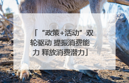 “政策+活动”双轮驱动 提振消费能力 释放消费潜力