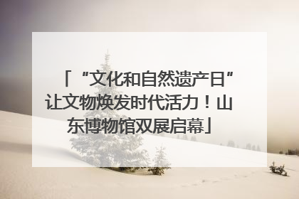 “文化和自然遗产日”让文物焕发时代活力！山东博物馆双展启幕