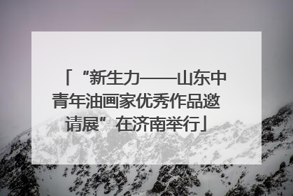 “新生力——山东中青年油画家优秀作品邀请展”在济南举行